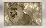 Bruno Bear